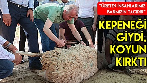 Çoban kepeneği giydi, koyun kırktı