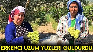 Erkenci üzüm yüzleri güldürdü