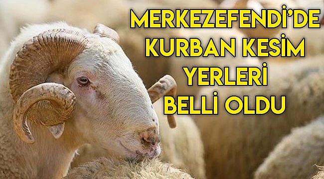 Kurbanlar belirlenen 9 noktada kesilecek