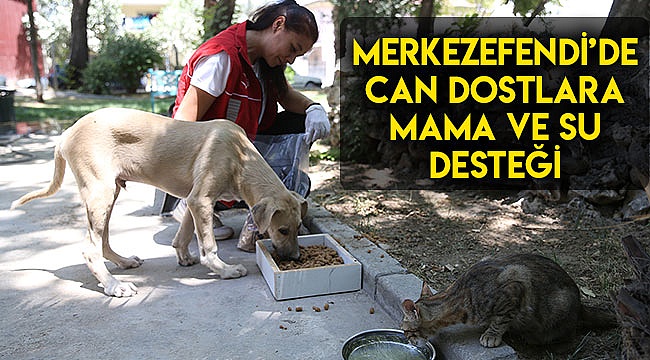 Merkezefendi’de can dostlara mama ve su desteği