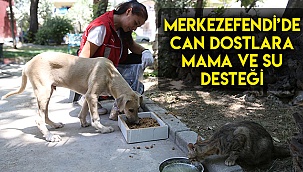 Merkezefendi’de can dostlara mama ve su desteği