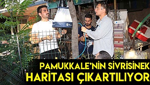 Pamukkale'nin sivrisinek haritası çıkartılıyor