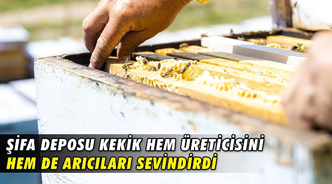 Şifa Deposu Kekik Hem Üreticisini Hem De Arıcıları Sevindirdi