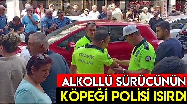 Alkollü sürücünün köpeği polisi ısırdı