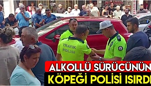 Alkollü sürücünün köpeği polisi ısırdı