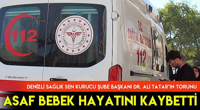 Asaf bebek yaşama tutunamadı