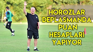 Horozlar deplasmanda puan hesapları yapıyor