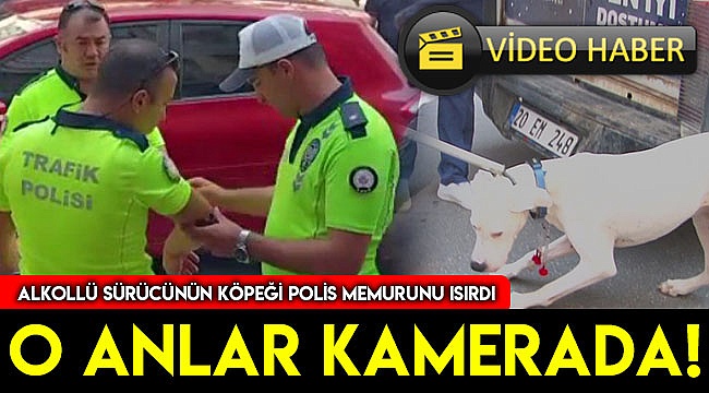 O ANLAR KAMERADA!