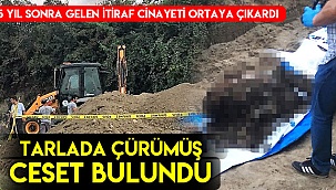 Tarlada çürümüş ceset bulundu