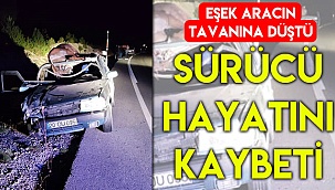 Aracın tavanına düşen eşek sürücünün ölümüne neden oldu