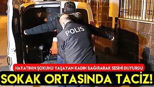 Denizli'de sokak ortasında taciz!