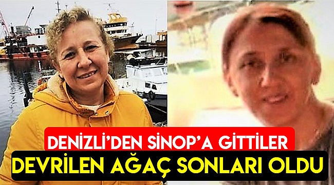 Devrilen ağaç sonları oldu