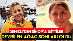 Devrilen ağaç sonları oldu