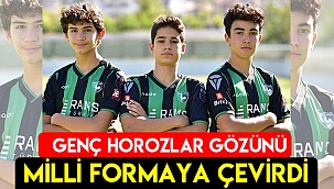 Genç horozlar gözünü milli formaya çevirdi