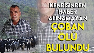 Kendisinden haber alınamayan çoban ölü bulundu