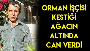 Kestiği ağacın altında can verdi