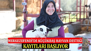 Merkezefendi’de Küçükbaş Hayvan Desteği Kayıtları Başlıyor