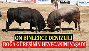On Binlerce Denizlili Boğa Güreşinin Heyecanını Yaşadı