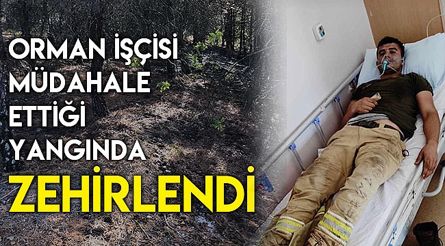 Orman işçisi müdahale ettiği yangında zehirlendi