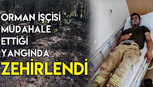 Orman işçisi müdahale ettiği yangında zehirlendi
