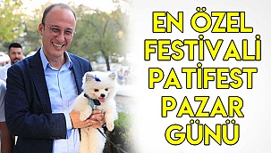 Pamukkale’nin en özel festivali Patifest pazar günü
