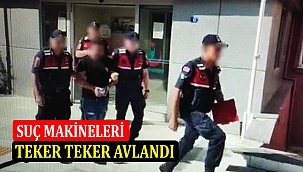 Suç Makineleri Teker Teker Avlandı