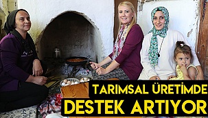 Tarımsal üretimde destek artıyor