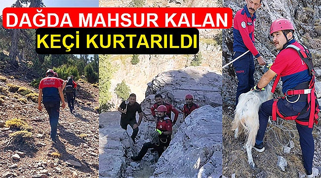 1600 rakımlık dağda mahsur kalan keçi kurtarıldı