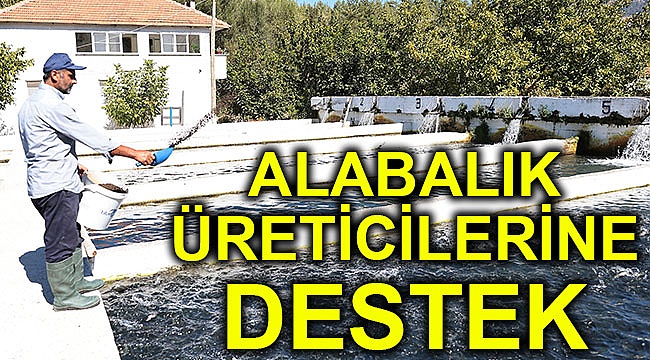Alabalık üreticilerine destek