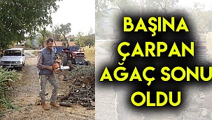 Başına çarpan ağaç sonu oldu