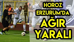 HOROZ ERZURUM’DA AĞIR YARALI