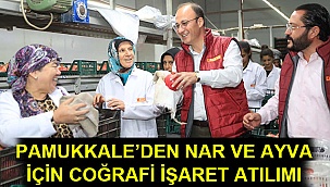 Pamukkale'den nar ve ayva için coğrafi işaret atılımı