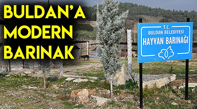 Buldan’a modern barınak