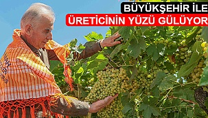 Büyükşehir ile üreticinin yüzü gülüyor