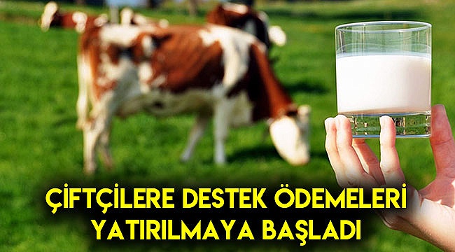 Çiftçiye destek ödemeleri yatırılmaya başlandı