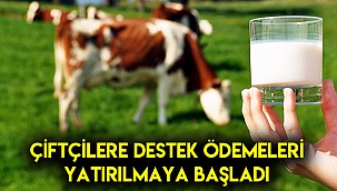 Çiftçiye destek ödemeleri yatırılmaya başlandı