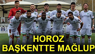 HOROZ BAŞKENTTE MAĞLUP