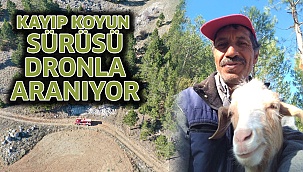 Kayıp Koyun Sürüsü Dronla Aranıyor
