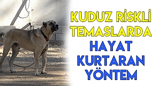 Kuduz riskli temaslarda hayat kurtaran yöntem