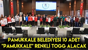 Pamukkale Belediyesi 10 adet 