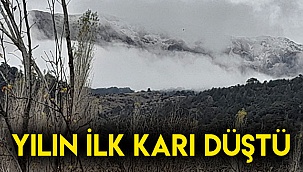 Yılın ilk karı düştü