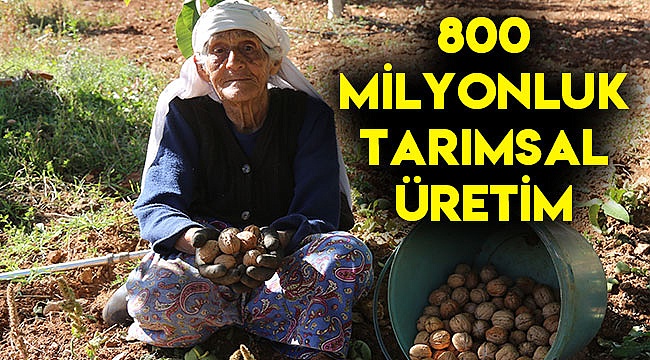 800 milyonluk tarımsal üretim