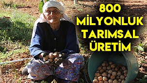 800 milyonluk tarımsal üretim
