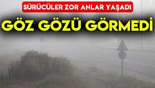 Göz gözü görmedi