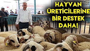 Hayvan üreticilerine bir destek daha