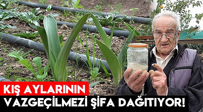 Kış aylarının vazgeçilmezi şifa dağıtıyor!