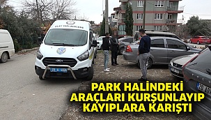 Park Halindeki Araçları Kurşunlayıp Kayıplara Karıştı
