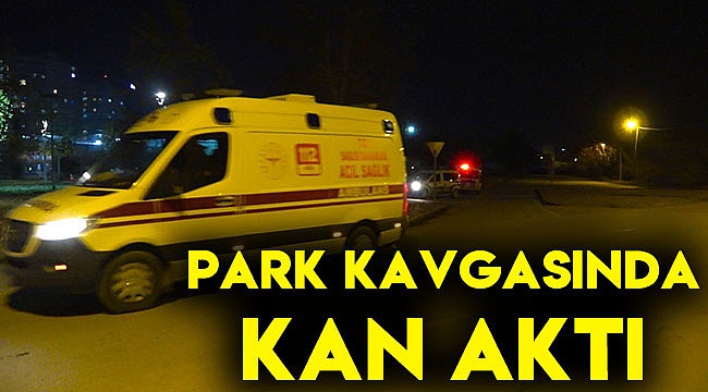 Park kavgasında kan aktı
