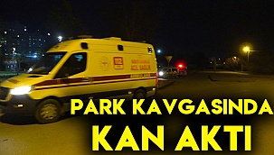 Park kavgasında kan aktı