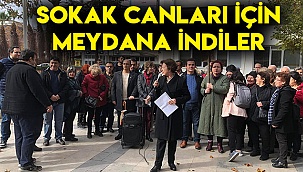 Sokak canları için meydana indiler